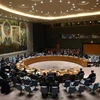 越南与联合国安理会：越南呼吁消除对冲突中丧偶妇女的排斥和歧视