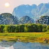 科学家讨论恢复越南生态系统的措施