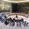 越南与联合国安理会：联合国安理会呼吁有关各方确保索马里即将举行的选举的安全