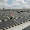 越南太阳能电池免受美国贸易救济调查