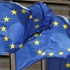 欧盟支持根据国际法解决东海争端问题 
