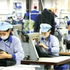 越南劳务输出企业努力克服困难