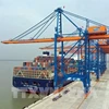 停靠越南海港的外国船舶同比增长30%
