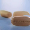 越南国内药企生产新冠治疗药物莫努匹韦