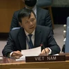 越南与联合国安理会：越南支持努力协助伊拉克应对当前的挑战