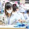越南受疫情影响雇员和雇主获得失业保险基金28.2万亿越盾的资金支持