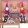 越南国会主席王廷惠与老挝国会主席赛宋蓬·丰威汉主持国会工作经验交流会