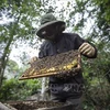越南工贸部：美国商务部对越南蜂蜜征收关税过高