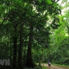 菊芳国家公园——绿色天堂