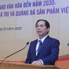 落实2030年文化外交战略：主动适应和传播价值和推广越南产品