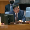 越南与联合国安理会：越南强调需要防范网络空间冲突风险