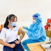 越南全国14省市已为12-17岁人群全剂量接种新冠疫苗