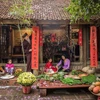越南旅游总局启动“爱家乡之新春-爱越南之特色”比赛