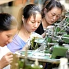 FTA继续为越南经济增长注入动力