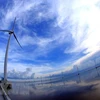 印度和东盟拟共同发展可再生能源生态系统