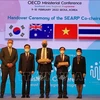  越南正式担任经济合作与发展组织东南亚区域项目联合主席