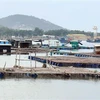 越南宁顺省提高海上水产养殖经济效益