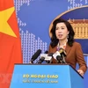 越南外交部例行记者会：提前准备措施与方案 维护越南公民合法权益