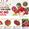 北江省通过电子商务平台促进农产品销售