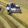 越南公布农业与农村可持续发展战略
