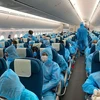 越南交通运输部就将越南公民运送回国的航班提供官方信息