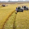 坚江省打造20个水稻万亩示范片