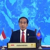 印尼总统将直接任命新首都领导班子