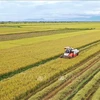 农民和企业联合生产的大米顺利出口