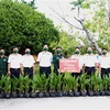 平定省军事指挥部向长沙岛县赠送2000棵矮种椰子苗