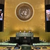 越南承诺推动联合国联合行动计划中各建议