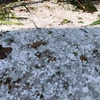 山罗省发生冰雹灾害 民房和农作物严重受损