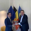 加强越南各地方与比利时布鲁塞尔首都大区的合作