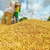 越南农产品在全球市场上确立地位的机会