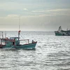越南可持续渔业：通过卫星管理渔船 致力解除 IUU “黄牌警告”