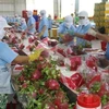 2022年第二季度 越南南部地区的水果产量可达120万吨