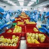 越南农产品加速进军美国市场