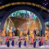  “越南各民族文化色彩纷呈”活动大放异彩