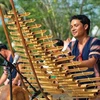 越南各民族传统乐器展即将在芹苴市举行
