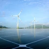 宁顺省实现惊人突破成为全国可再生能源中心
