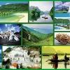 在英国加大对越南旅游形象推介力度