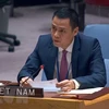 越南愿为联合国经济社会发展论坛作出实质性贡献