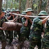 越南同国际社会一道努力克服地雷后果