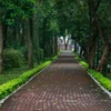 越南旅游：河内即将开通山西城堡步行街