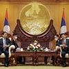 越南外交部部长裴青山礼节性拜会老挝高层领导