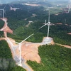 能源多样化：广治省促进风力发电效率