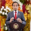 印尼促进印太地区和平与繁荣