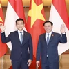 越南国会主席王廷惠与新加坡国会议长陈川仁举行会谈