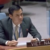 越南呼吁确保粮食安全 促进世界和平与发展
