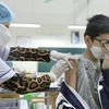 5月21日越南新增新冠肺炎确诊病例1475例 许多地方单日新增病例数在10例以下