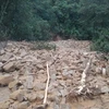 越南北部连续多日遭暴雨袭击已致8人伤亡 多条道路发生山体滑坡
